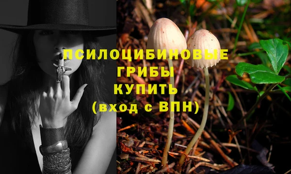 скорость Янаул