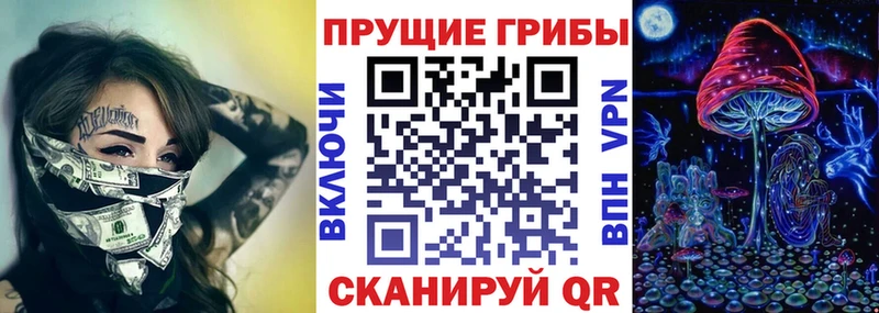 Купить закладки  Няндома  Галлюциногенные грибы Cubensis 